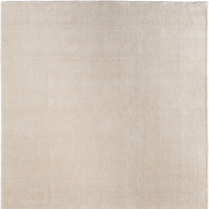Ivory Hand Woven Area Rug Photo 4
