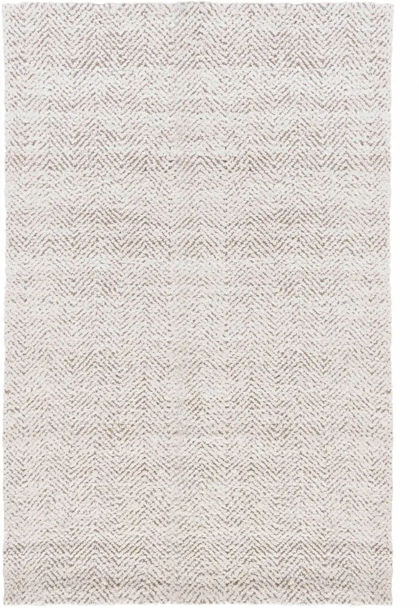 Ivory Hand Woven Area Rug Photo 1