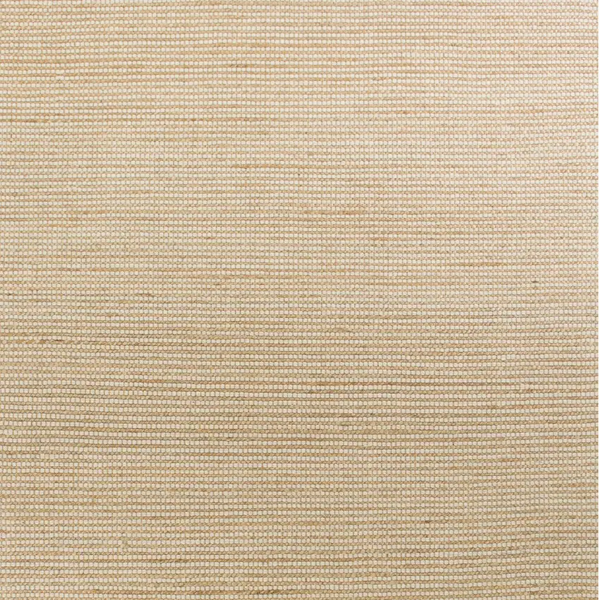 Ivory Hand Woven Jute And Wool Indoor Area Rug Photo 5