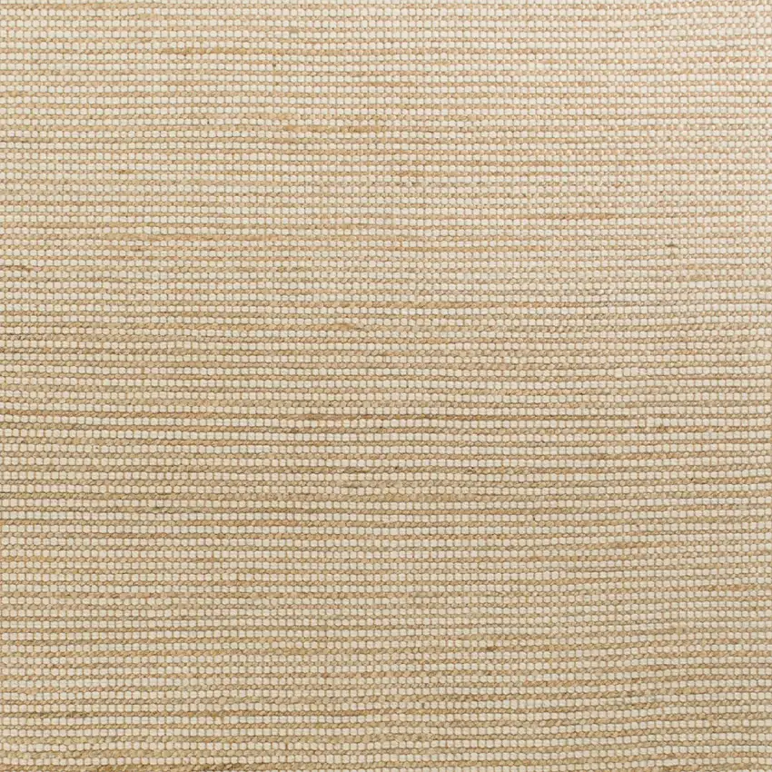 Ivory Hand Woven Jute And Wool Indoor Area Rug Photo 4