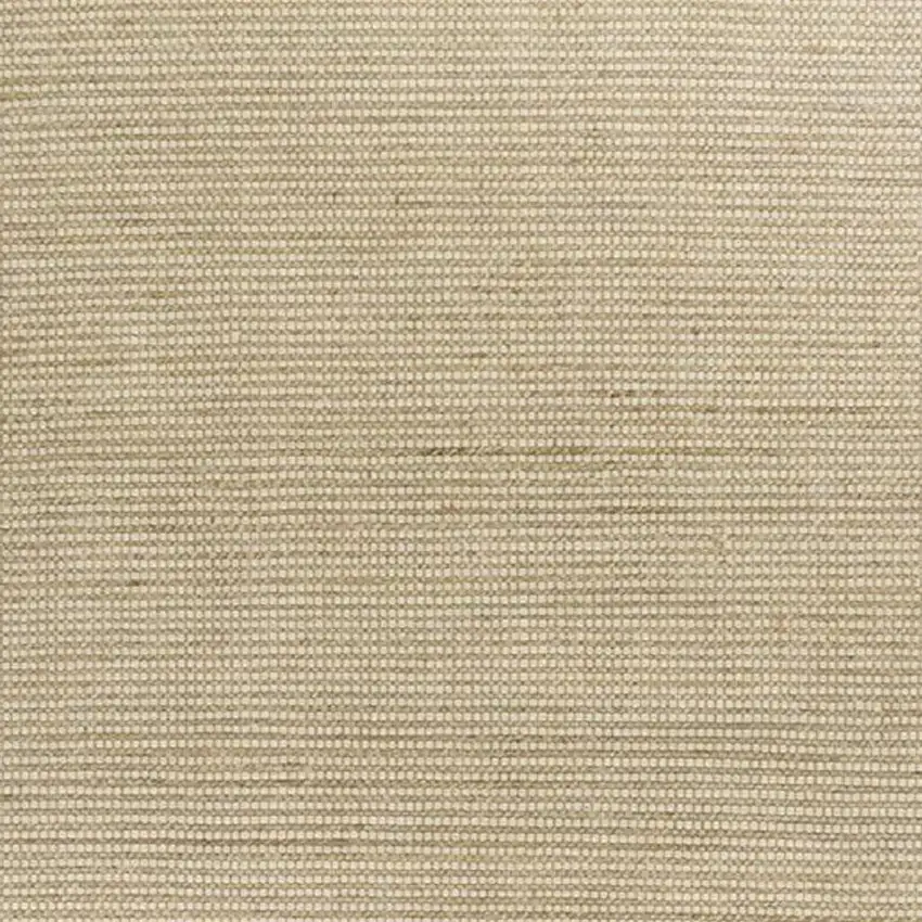 Tan and Ivory Wool Hand Woven Area Rug Photo 4