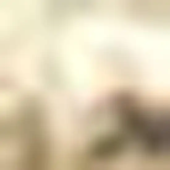 Ivory Jute Handmade Area Rug Photo 3