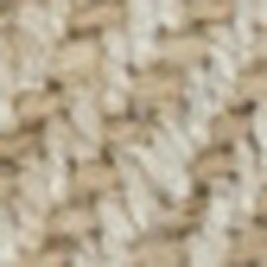 Ivory Jute Handmade Area Rug Photo 3