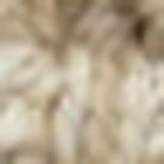 Ivory Jute Handmade Area Rug Photo 3