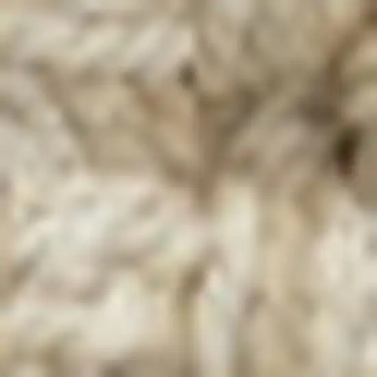 Ivory Jute Handmade Area Rug Photo 3