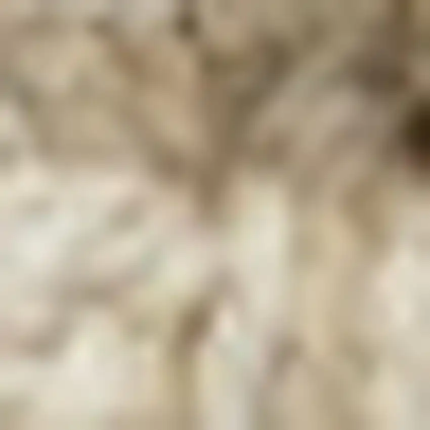 Ivory Jute Handmade Area Rug Photo 3