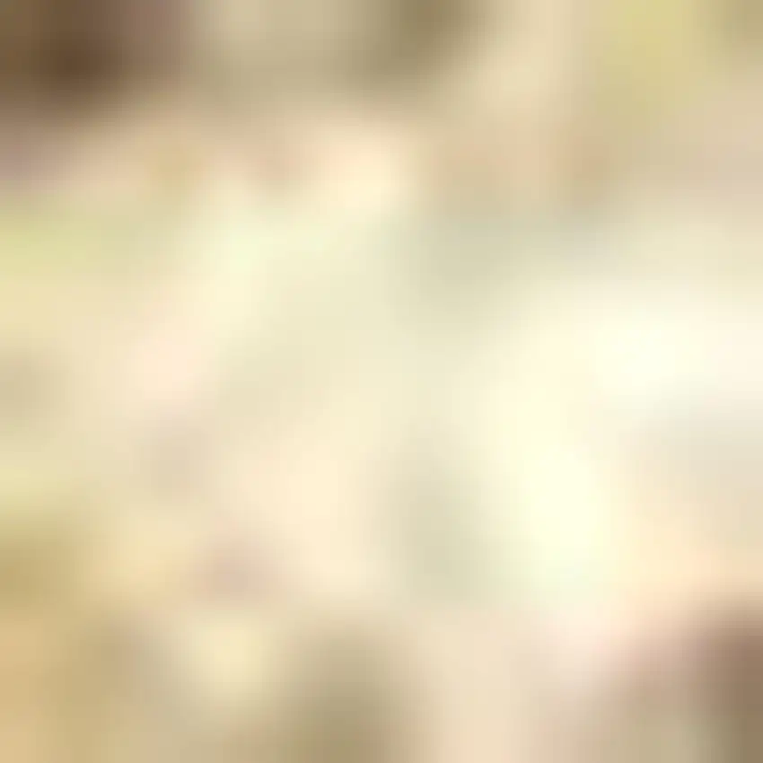 Ivory Jute Handmade Area Rug Photo 3