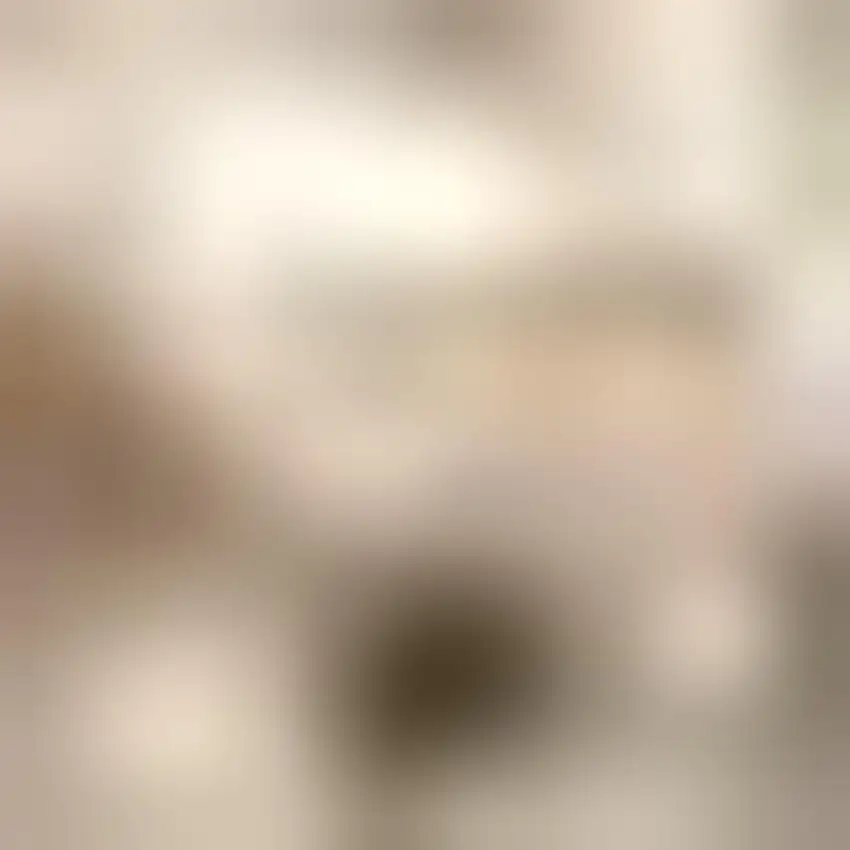 Ivory Jute Handmade Area Rug Photo 2