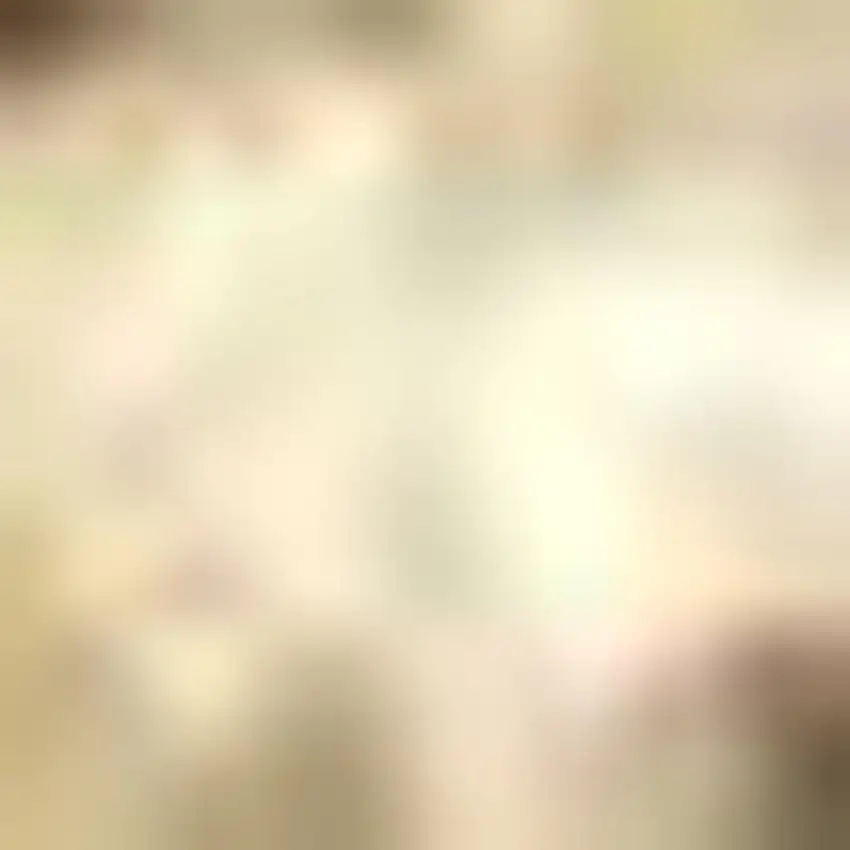 Ivory Jute Handmade Area Rug Photo 3