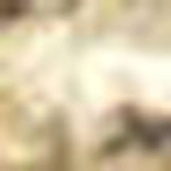 Ivory Jute Handmade Area Rug Photo 3