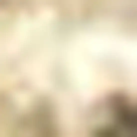 Ivory Jute Handmade Area Rug Photo 3