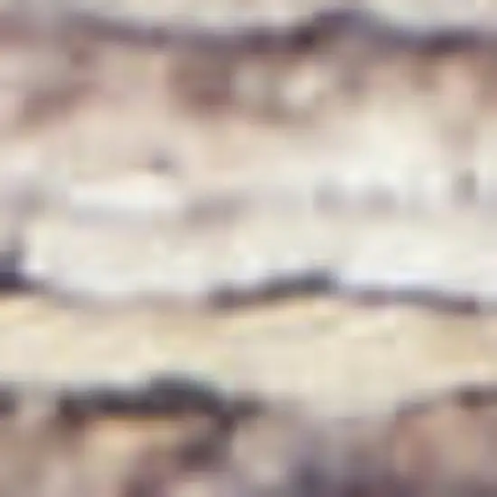 Ivory Latte Oriental Power Loom Distressed Washable Area Rug Photo 3