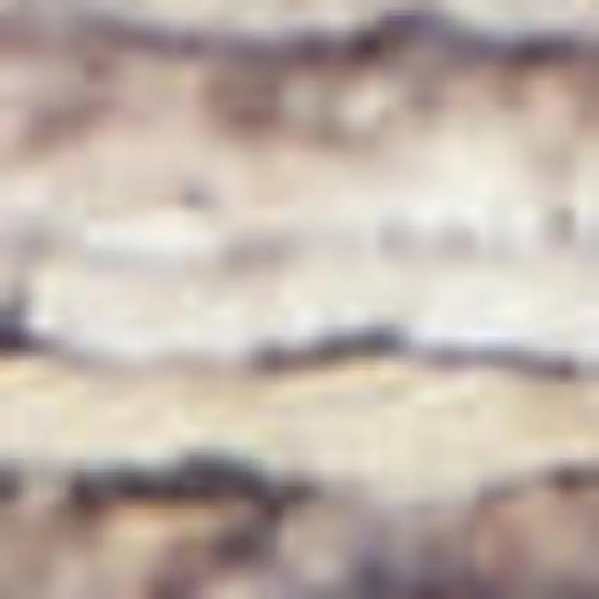 Ivory Latte Oriental Power Loom Distressed Washable Area Rug Photo 3