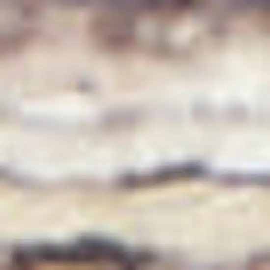 Ivory Latte Oriental Power Loom Distressed Washable Area Rug Photo 1