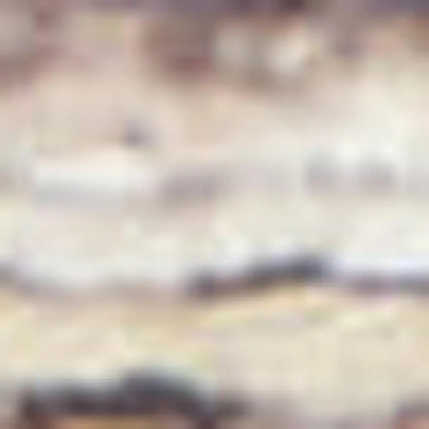 Ivory Latte Oriental Power Loom Distressed Washable Area Rug Photo 1