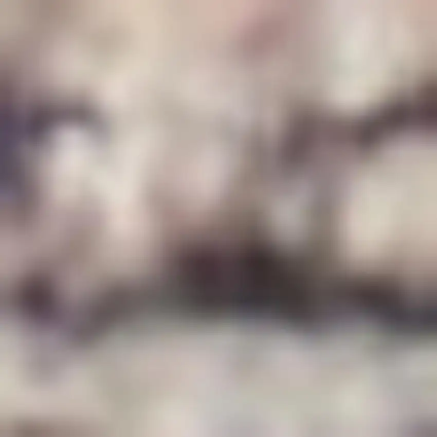 Ivory Latte Oriental Power Loom Distressed Washable Area Rug Photo 3