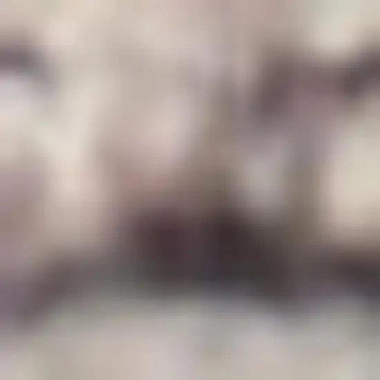 Ivory Latte Oriental Power Loom Distressed Washable Area Rug Photo 1