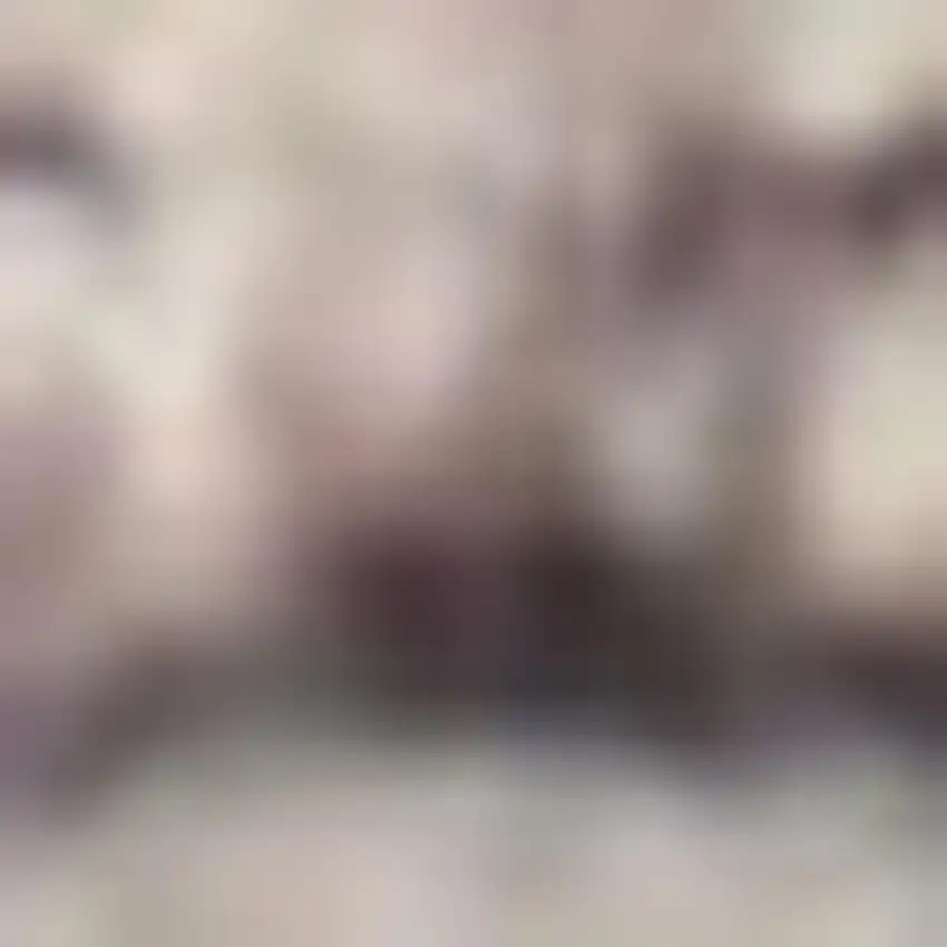 Ivory Latte Oriental Power Loom Distressed Washable Area Rug Photo 1