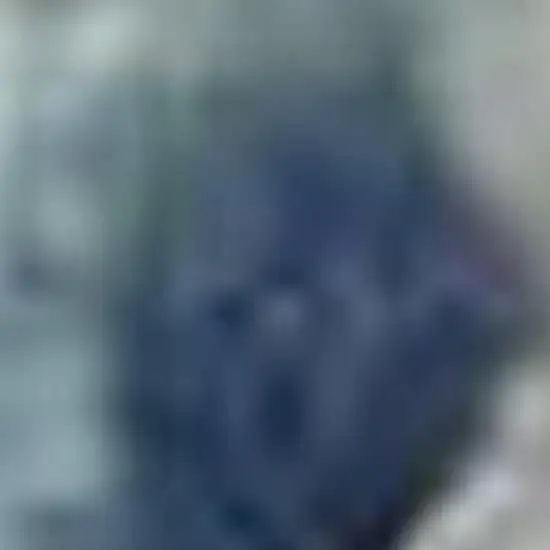 Ivory Navy Blue And Light Blue Floral Area Rug Photo 3