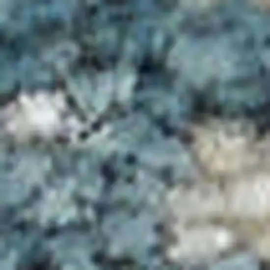 Ivory Navy Blue and Yellow Floral Distressed Non Skid Area Rug Photo 7