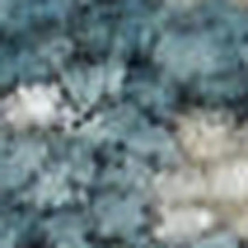 Ivory Navy Blue and Yellow Floral Distressed Non Skid Area Rug Photo 7