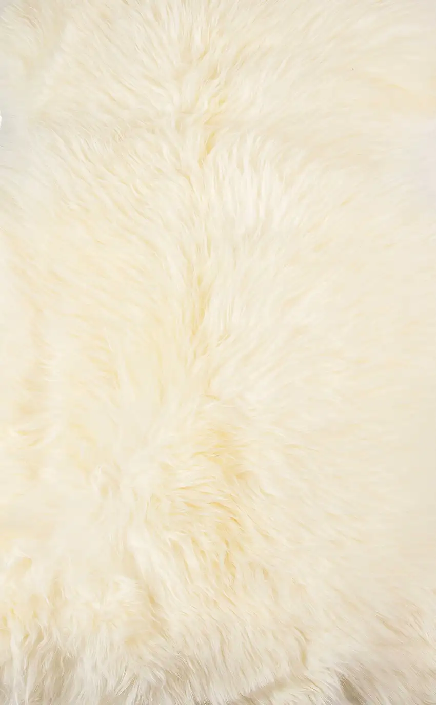 Ivory New Zealand Natural Sheepskin Rug Photo 2