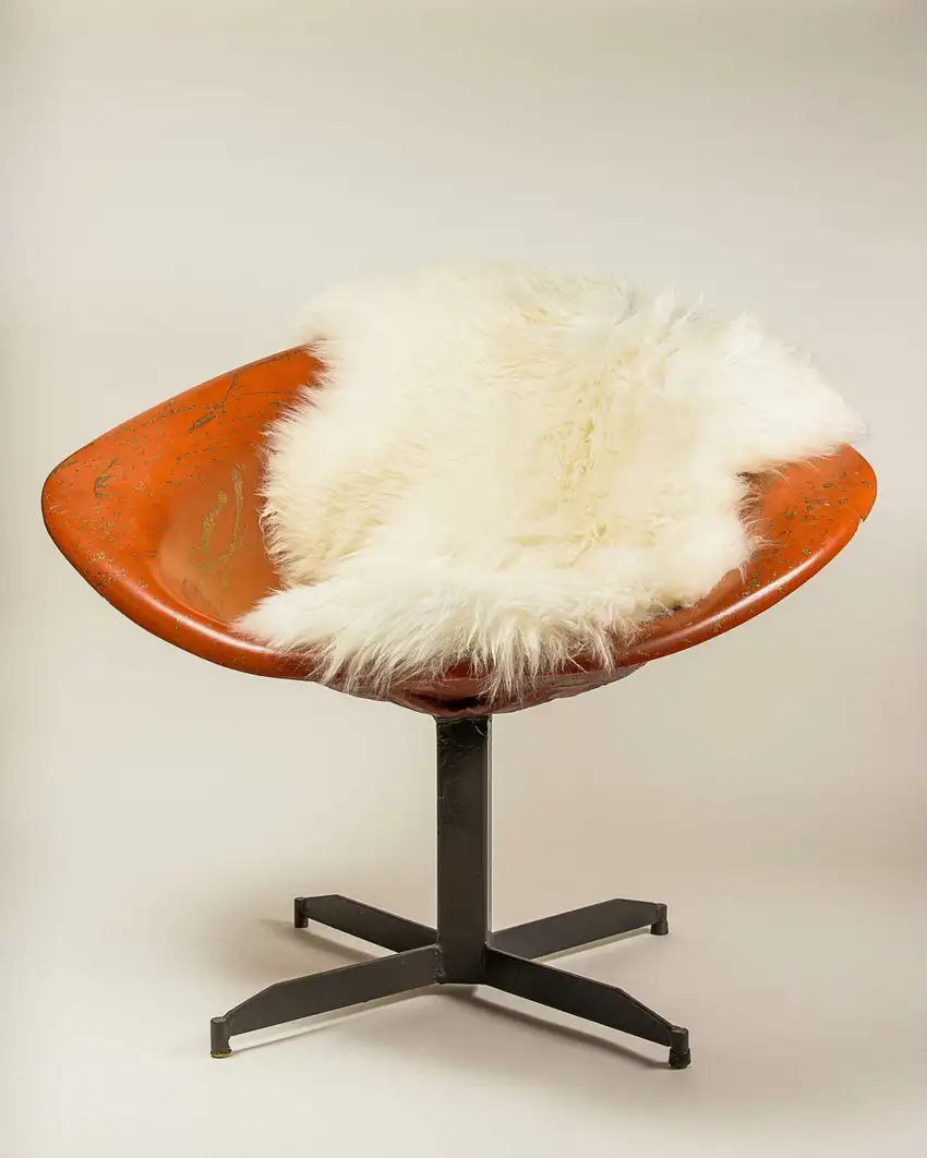Ivory New Zealand Natural Sheepskin Rug Photo 6