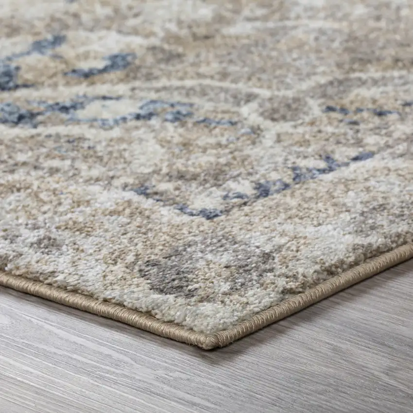 Ivory Oriental Distressed Area Rug Photo 4