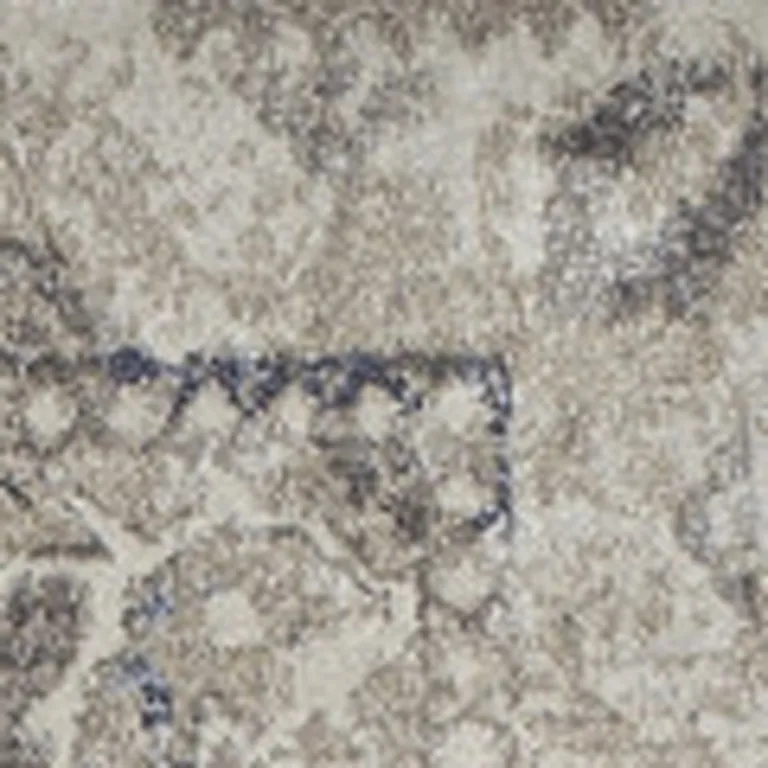 Ivory Oriental Distressed Area Rug Photo 4