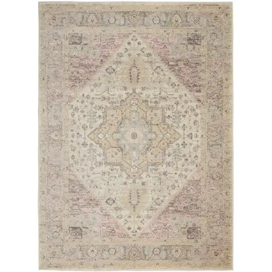 Ivory Pink And Gray Floral Medallion Distressed Area Rug Photo 2