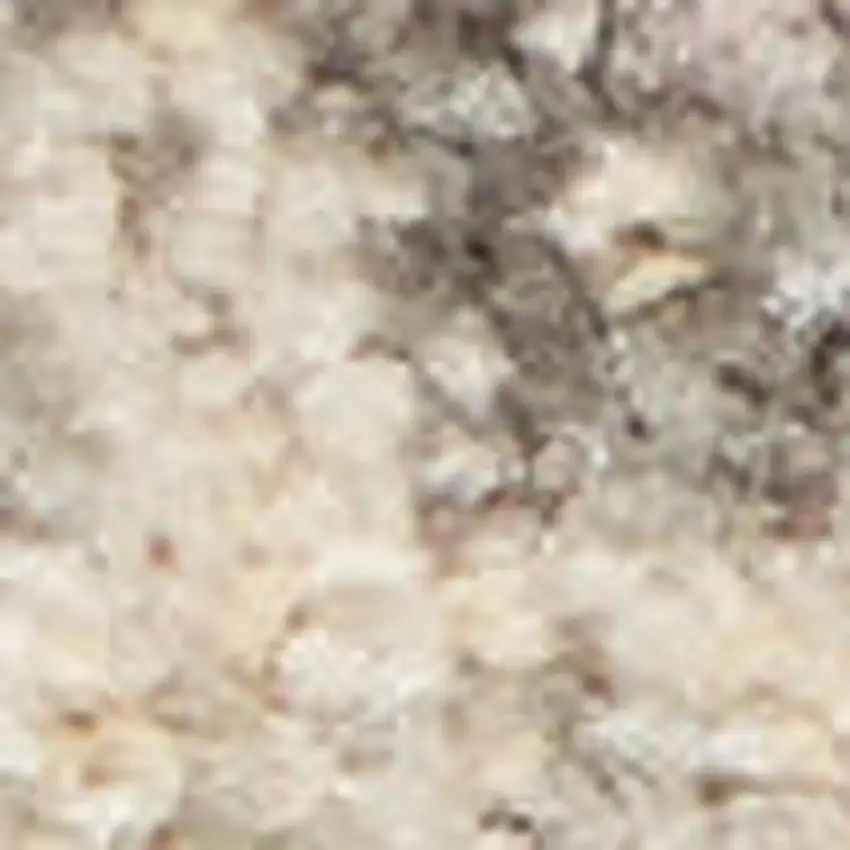 Ivory Pink And Gray Floral Medallion Distressed Area Rug Photo 3