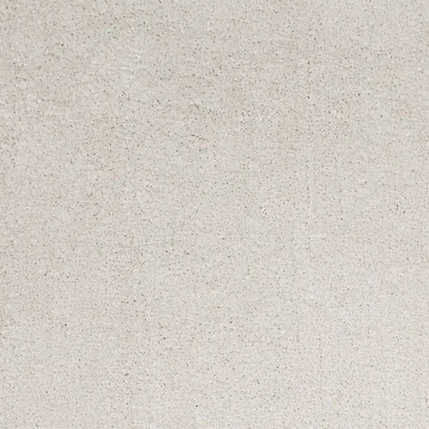 Ivory Plain Area Rug Photo 2