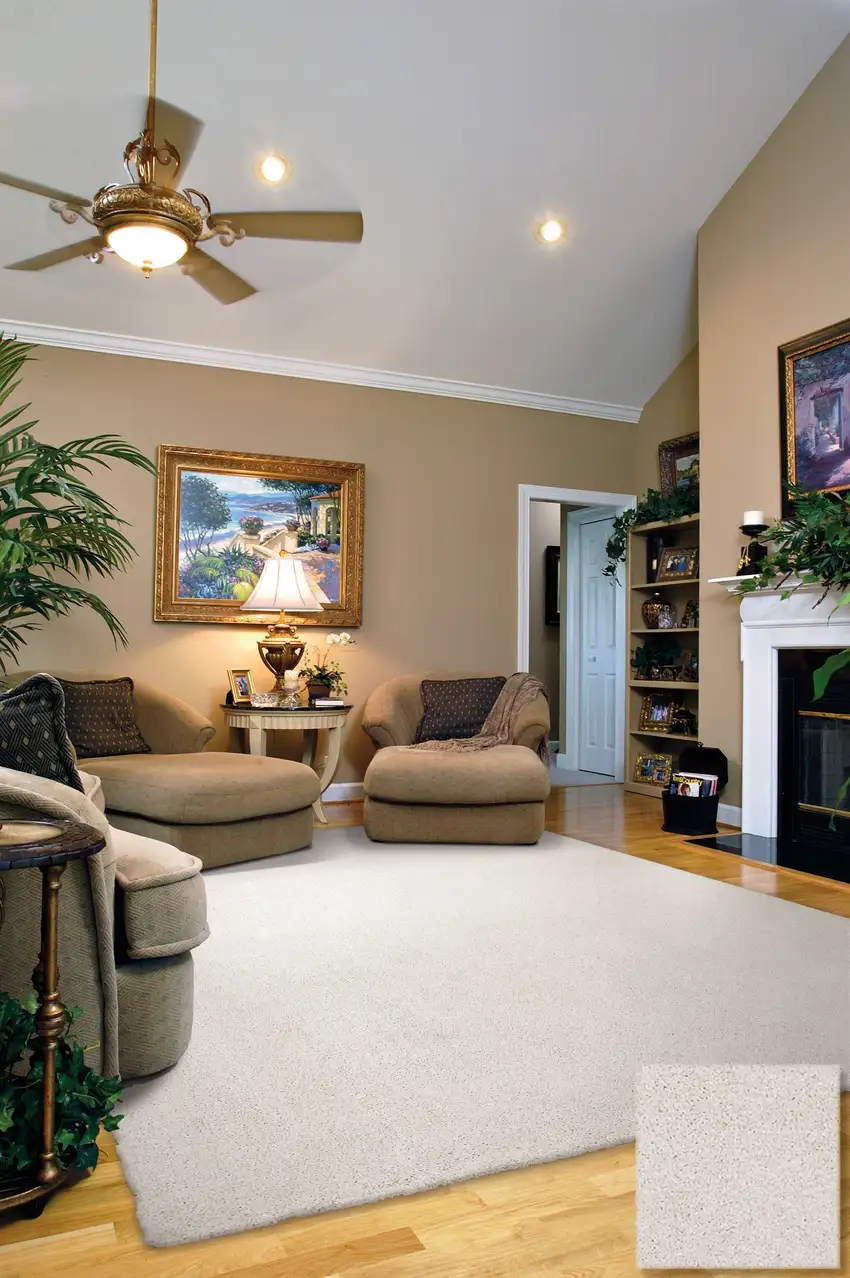 Ivory Shag Hand Woven Area Rug Photo 5