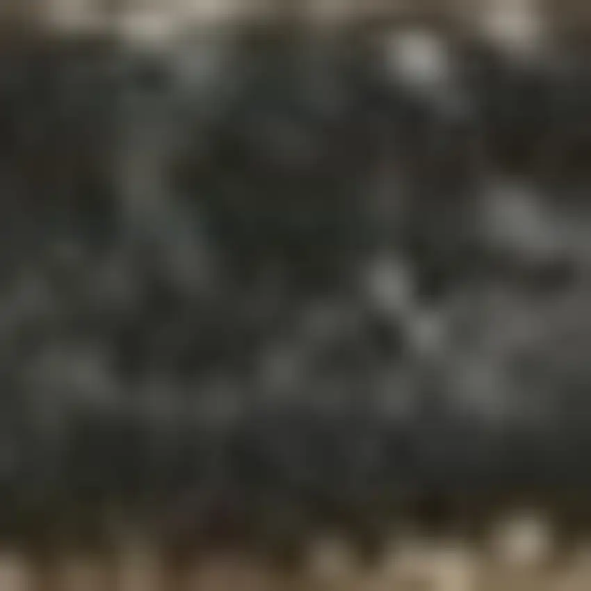 Ivory Polypropylene Rug Photo 5