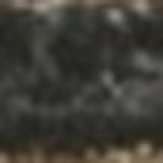 Ivory Polypropylene Rug Photo 5
