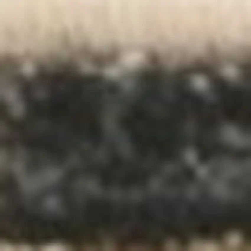 Ivory Polypropylene Rug Photo 6