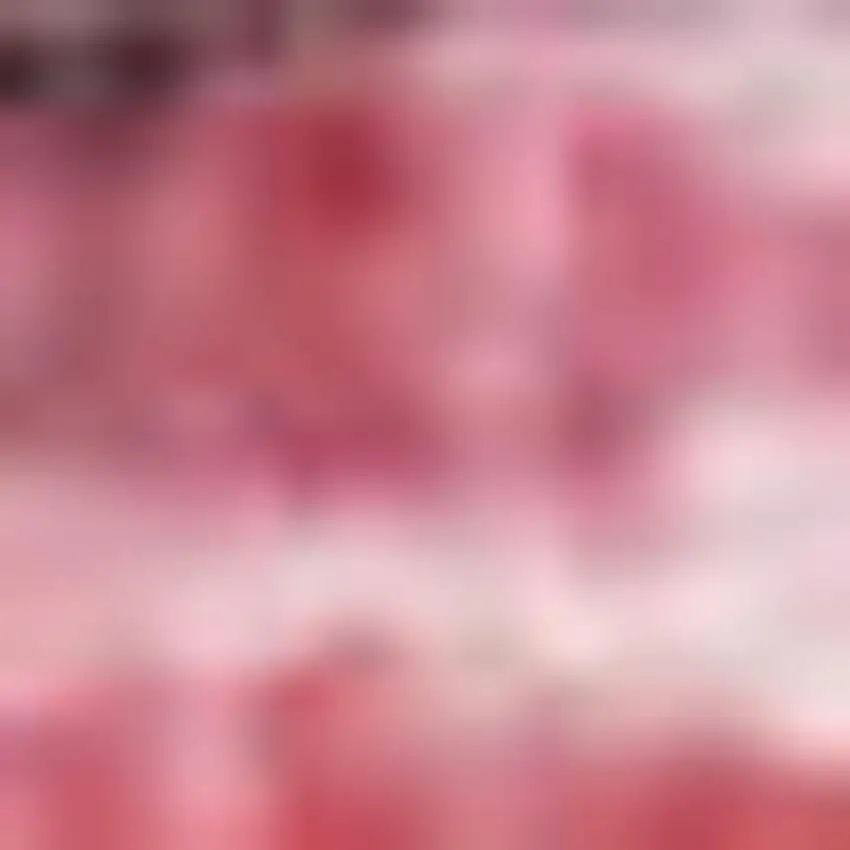 Ivory Red and Blue Medallion Distressed Non Skid Area Rug Photo 5