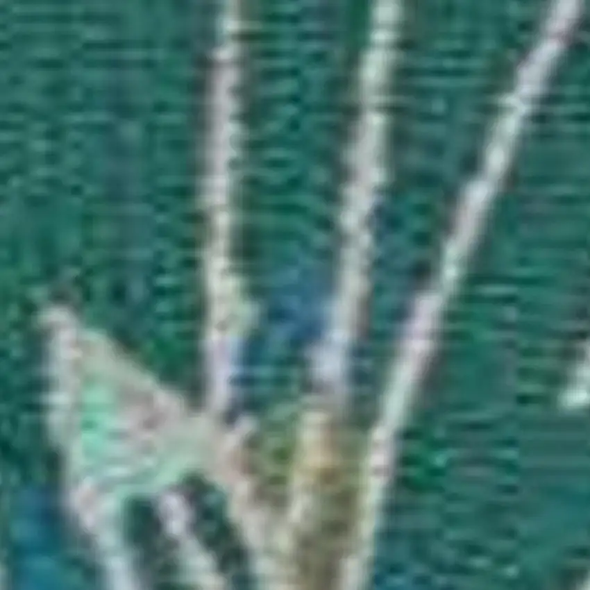 Ivory Red and Orange Floral Hand Carved Handmade Area Rug Photo 4