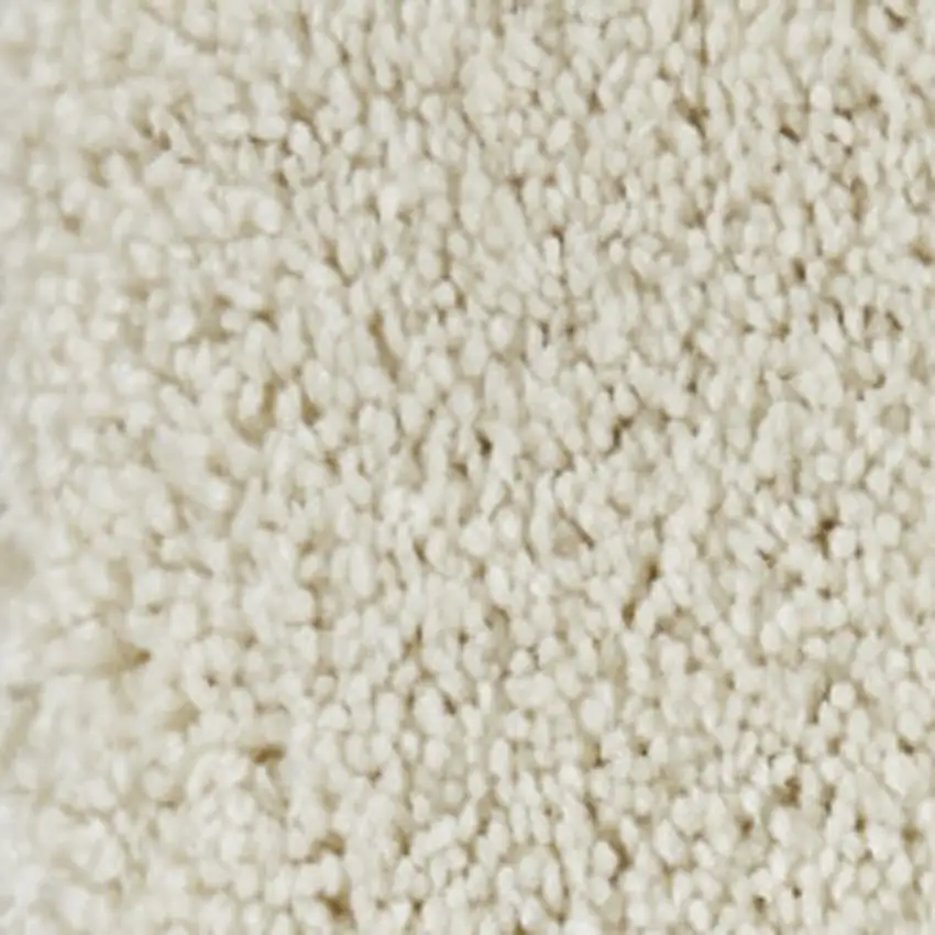 Ivory Shag Area Rug Photo 8