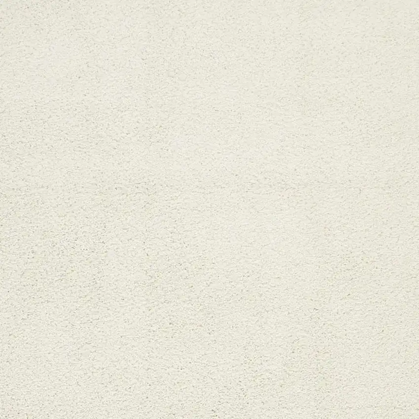 Ivory Shag Area Rug Photo 3