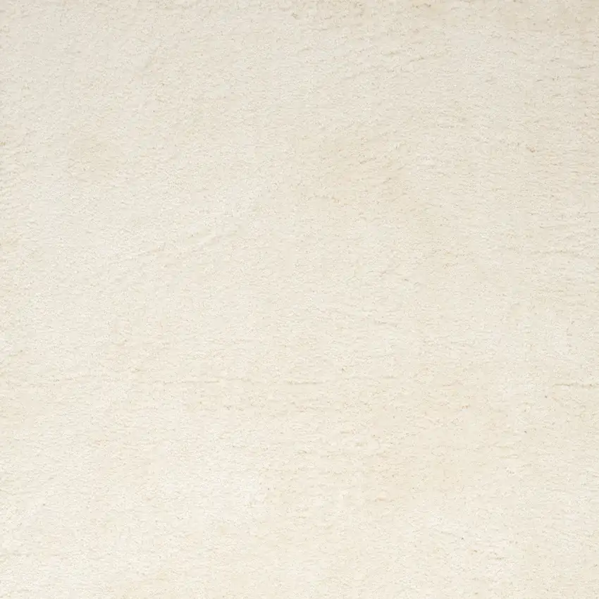 Ivory Shag Area Rug Photo 5