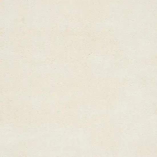 Ivory Shag Area Rug Photo 2