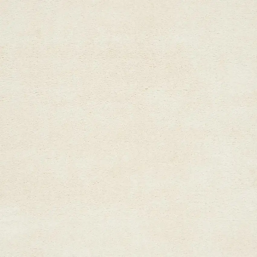 Ivory Shag Area Rug Photo 2