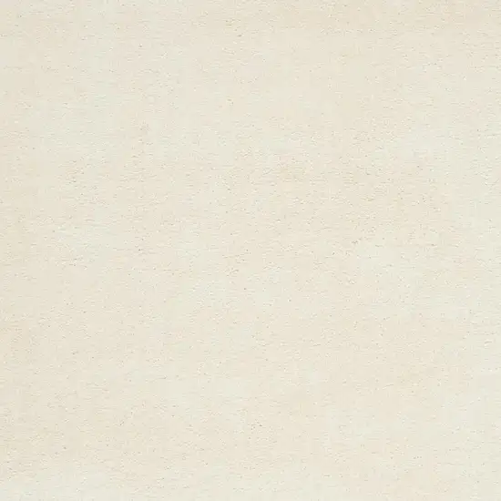 Ivory Shag Area Rug Photo 5