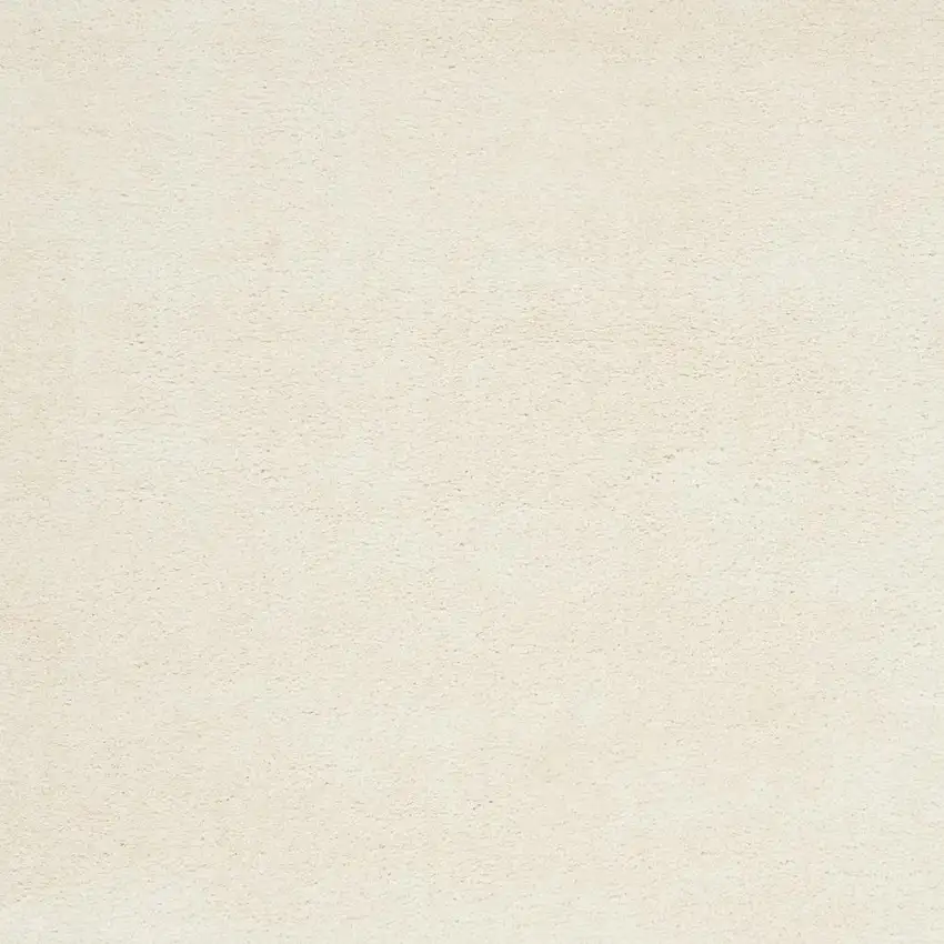 Ivory Shag Area Rug Photo 5