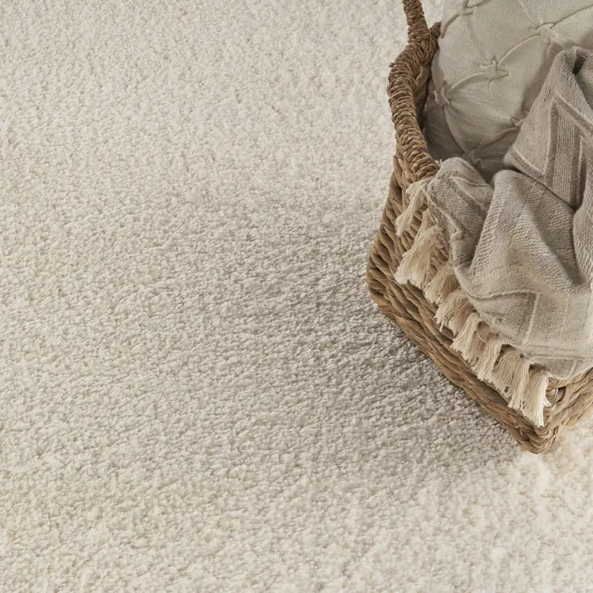 Ivory Shag Area Rug Photo 9