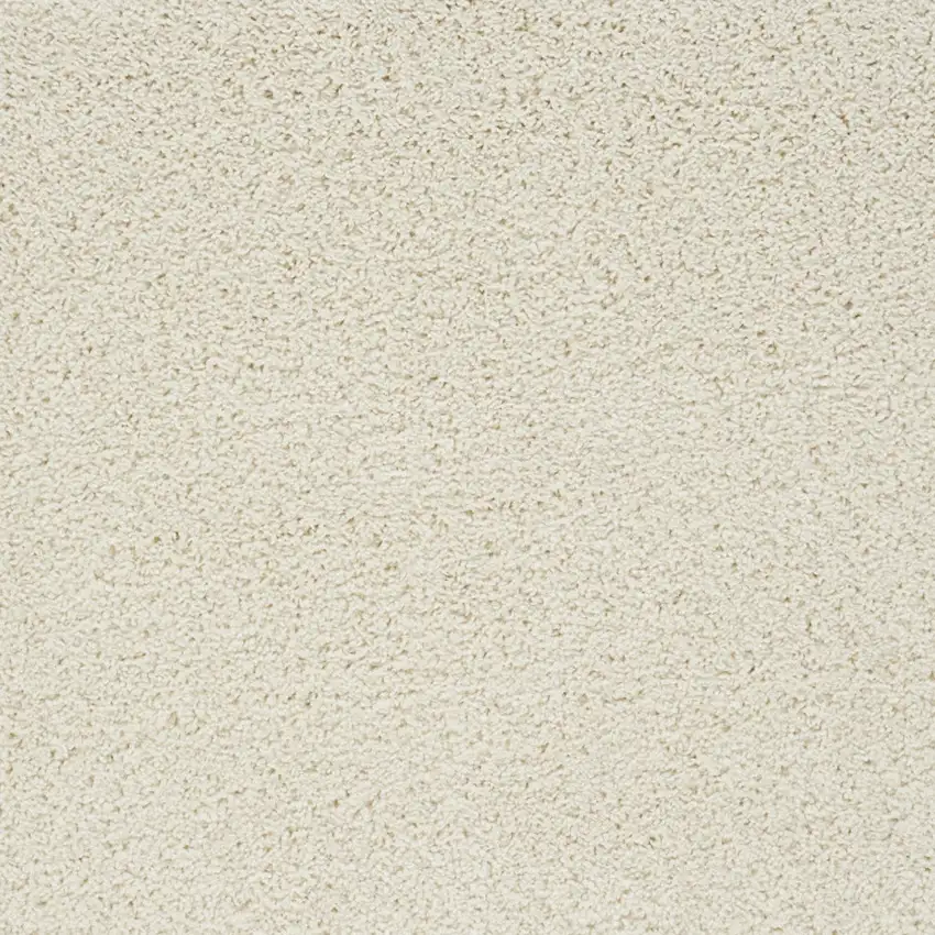Ivory Shag Area Rug Photo 5