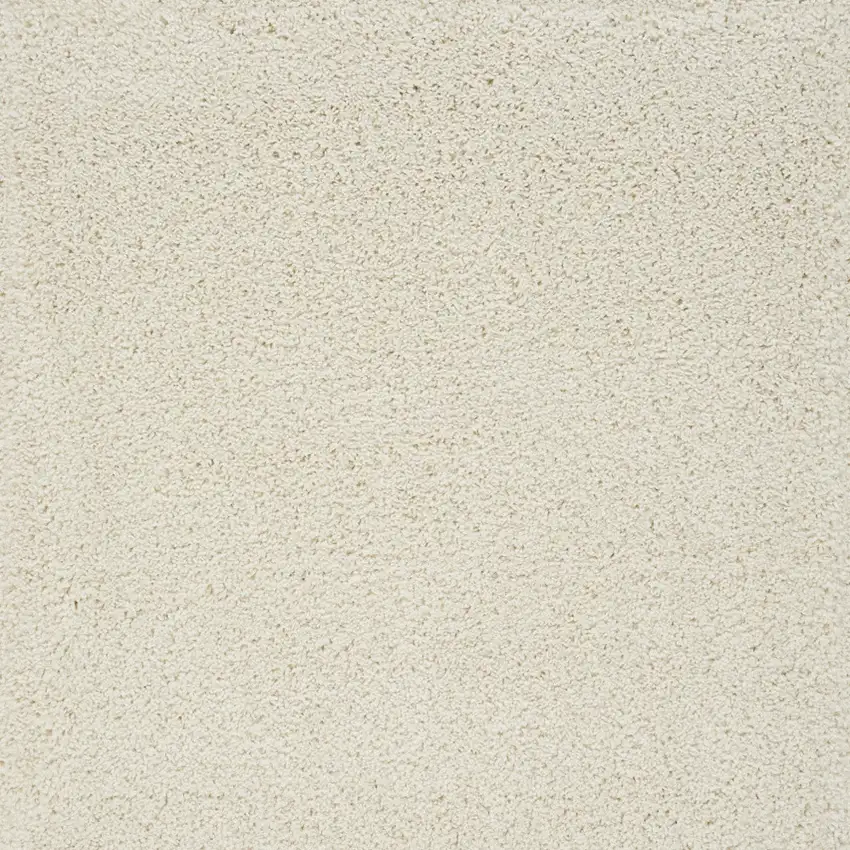 Ivory Shag Area Rug Photo 9
