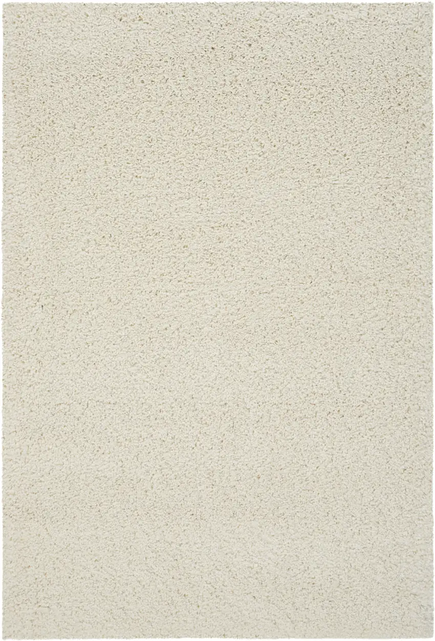 Ivory Shag Area Rug Photo 2