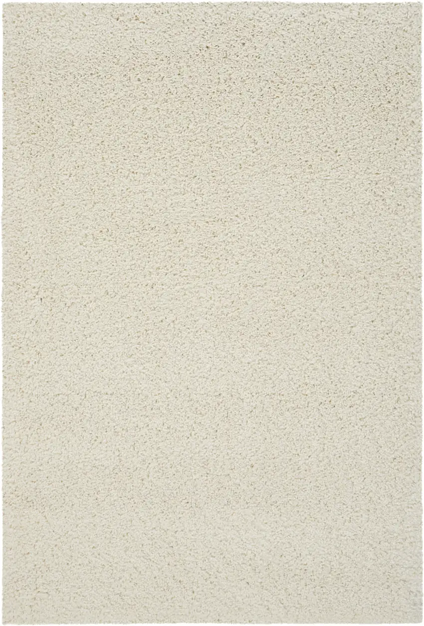Ivory Shag Area Rug Photo 1